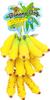 PLATZ PET Dog Toy Banana Dog 12P Set SUPPLISES&FUN