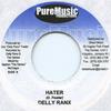 7inch Record DELLY RANKS / XSYTEMENT - Hater / Strap Pure Music 2006 Jamaica Reggae, Ska & Dub