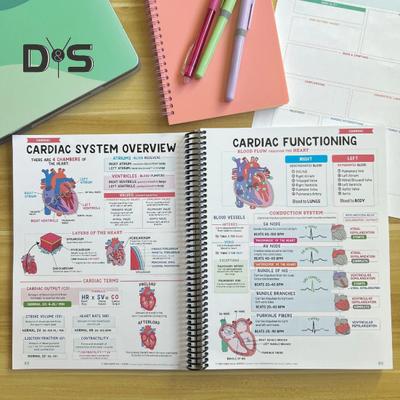 Руководство по успешному обучению в школе медсестер. Метод обучения из 5 шагов. Советы по подготовке к экзаменам. План обучения. Стратегии успеха студентов-медсестер. Руководство по обучению.