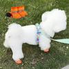 4pcs/set Breathable Dog Net Shoes Non-slip Hollow Out Dog Shoes Pet Short Boots  Summer