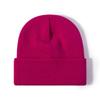 Knitted Beanie Cap Winter Accessories Multicolored Beanies Custom Embroidery Acrylic Fashion Skullies Hats Winter Knitted Hat