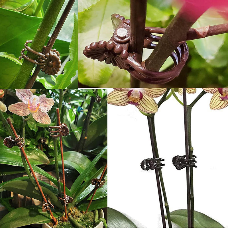 100 шт. вьющихся растений виноградная лоза орхидея фиксация опорные зажимы инструменты садовые цветочные стебли шпалерные зажимы