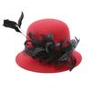 Autumn and Winter Aristocratic Gauze Feather Flower Hat Lady Mature Temperament Imitation Wool Dome