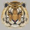 Термонаклейки, термонаклейки на одежду, голова тигра, термопресс, виниловые толстовки, топы, сделай сам, моющиеся аппликации на одежде