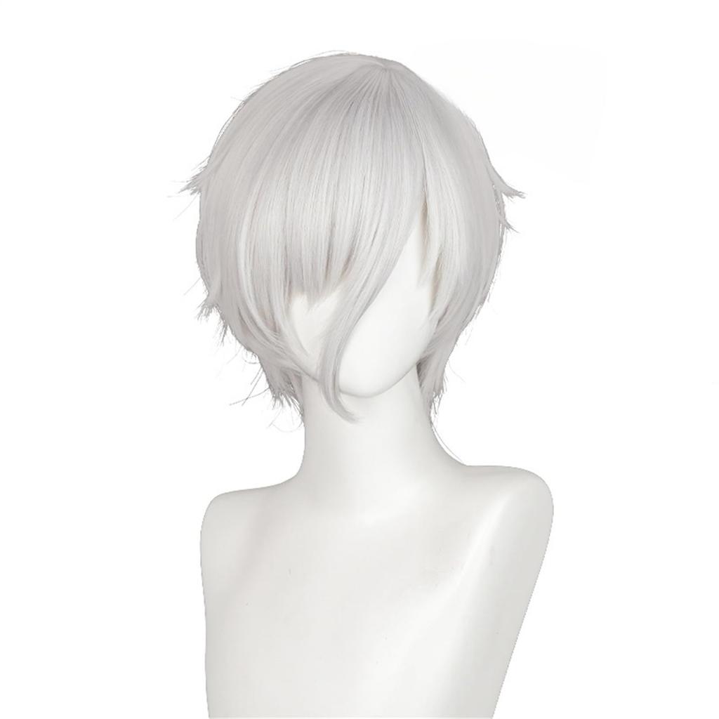 Laubao Shopping Антарктицит Косплей Серый Костюм Хэллоуин Косплей Парик Парик, Боб, Волосы, Термостойкий, Аксессуар, Костюм, (Антарктицит)