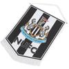 Newcastle United FC Крест Вымпел