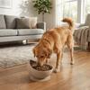 Suction Cups Silicone Pet Bowl Neck Protection Elevated Feeder Portable Dog Food Bowl  Pet Dining