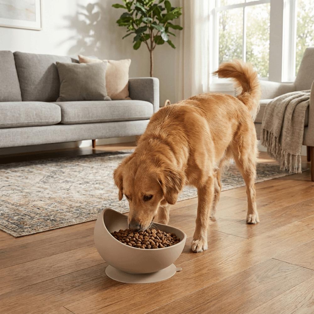 Suction Cups Silicone Pet Bowl Neck Protection Elevated Feeder Portable Dog Food Bowl  Pet Dining