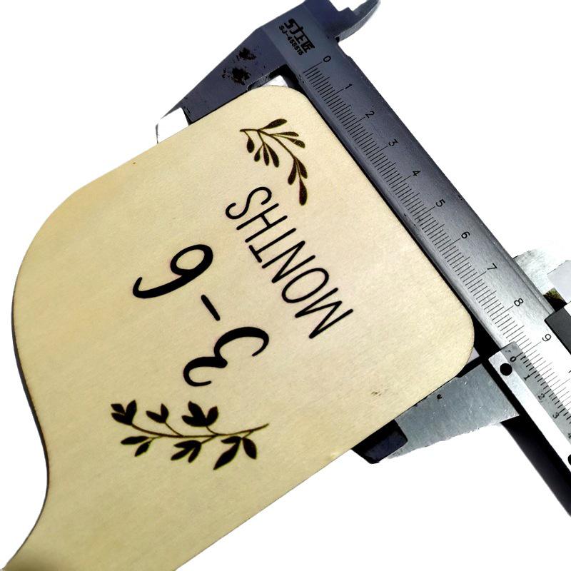 Wooden Baby Closet Divider Card Hanger Milestone Chip