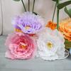 Large Size Simulated Peonies Non-woven Fabric Peony Flower NEW Garden Decoration Wedding Backdrop