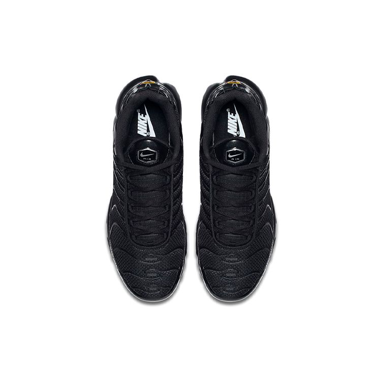 Nike Мужские кроссовки Air Max Plus Triple Black Черно-Черные 604133-050