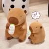 Capybara Bottle Ab Dress Up Cartoon Plush Toys Childres Birthday Dolls Gifts