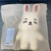 [USED] S.X.P. MINITEEN Pop-up Plush Toy Seventeen
