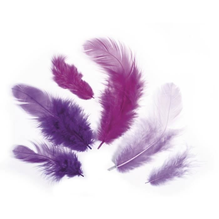 Mélange de plumes - RAYHER - Teintes lilas - 3-10 cm - 10 g - Sct.-LS