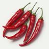 35 Kashmiri Chilli Seeds - SemiWild Permaculture