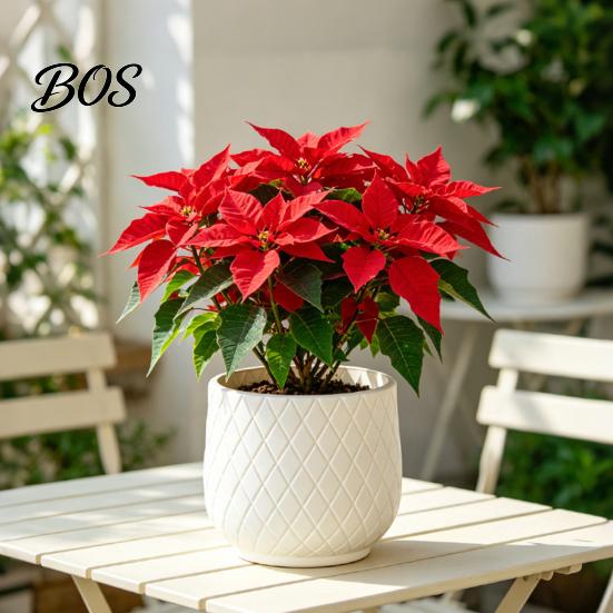Large White Planters for Indoor Plants Flower Pot with Rhombus Embossed Texture, Heavy Duty Planter Stable Floor Standing Pots Outdoor Plants,