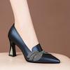 Fashion FHC New Soft Office Lady Working Shoes,Women Pumps, Spring Sexy Rhinestone HIgh Heels.Pointed Toe,Slip On,Black,Blue,Dropship