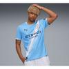 Puma Mcfc Домашняя реплика Mcfc Домашняя реплика78033801