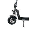 DriveTron DT08 Adult Electric Scooter, 25 mph, 37 Mile Range, 48V 13Ah 500W, Front Disc Brake + EABS, IPX5