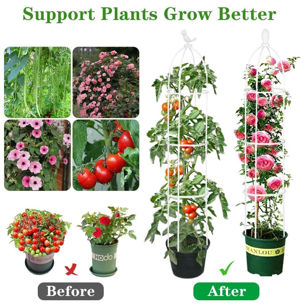 Для винограда, овощей, на открытом воздухе, в помещении, металлическая опора для растений, подставки для цветов, опорная башня, садовая решетка