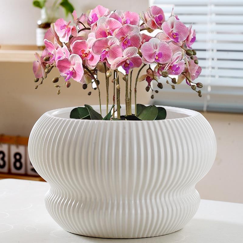 Large Creative Ceramic Flower Pot with Tray - Ideal for Chlorophytum & Succulents