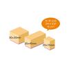 Beverly Detective Conan Stamp Wooden Reward Stamp SDH-097