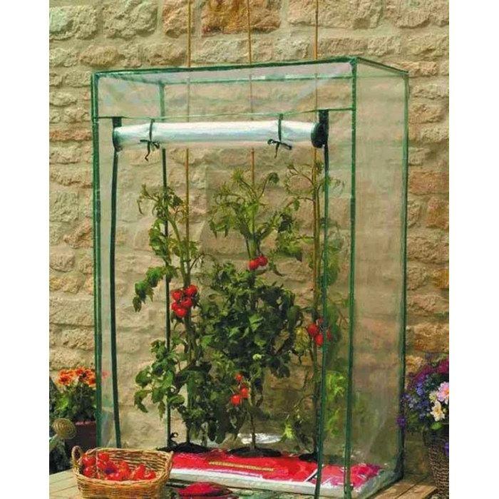 Serre à tomates