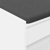 Hall Bench with Cushion Shelf and Storage White 63 x 38 x 45 cm