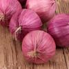 Decor Kitchen Decor Artificial Garlic Onion Home Decor Photography Props Simulation Vegetables