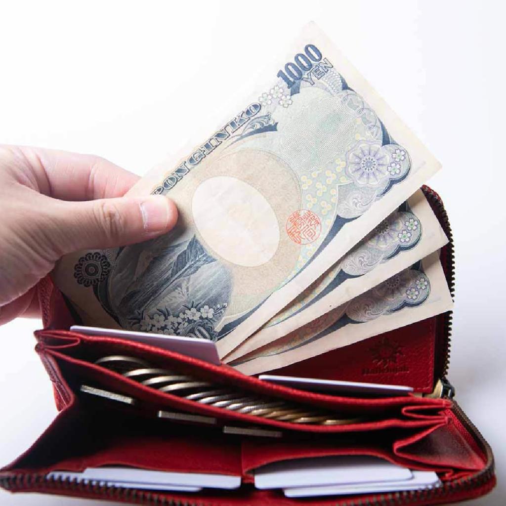 Wallet TIDY Long Wallet Elegant Simple Soft Large Capacity Zipper Small Skimming Prevention Genuine Leather Slim Going Out Compact Present Women