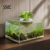 Home Office Aquarium Plant Decor 3D Printed Floating Holder, Water Hydroponic Planter Basket, Pot, Fish Tank Aquascape Decoration for Plants No Drill