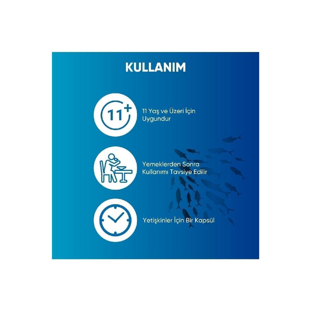 Omega 3 Fish Oil | High Epa