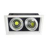 Longdai LED Double-Head Recessed Grille Spotlight