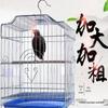 Extra-large Elevated Metal Bird Cage for Parrots, Budgies, and Mynas