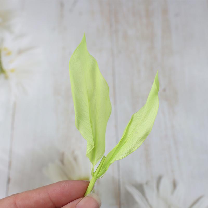 DIY Floral Art Ornament: Preserved Tangerine & Fishtail Leaf, Lily, Bamboo Dried Flowers – Ikebana Photo Prop for Home Décor.
