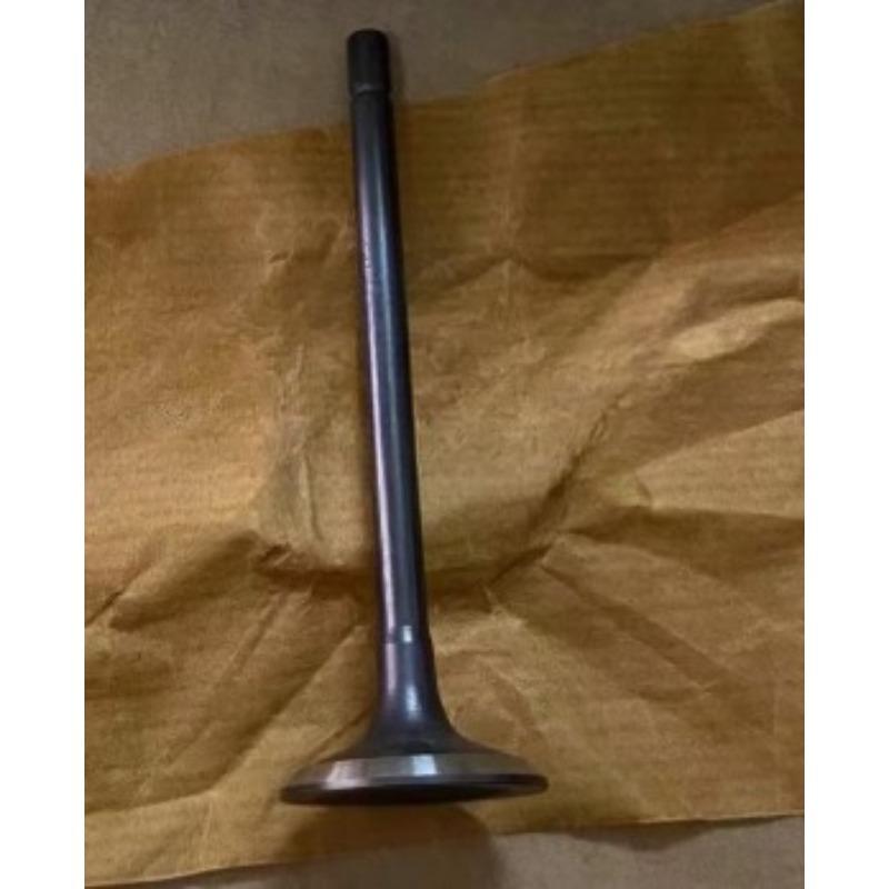 12575354 Engine Inlet Exhaust Valve for Buick GL8 2011-16 Lacrosse 3.0 2009-14 Park Avenue Enclave 3.6 for Chevrolet Captiva 3.2