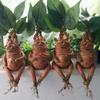 Mandrake Grass Resin Statue Landscape Ornament Art Figurine Crafts For Garden