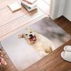 Non-slip Soft Rug Washable Living Room Bedroom Cute Dog Pattern Entrance Door Mat Floor Mat