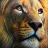 Diamond Painting New Animal Lion Pictures Of Rhinestones Diamond Embroidery Mosaic Cross Stitch Decortion