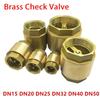 1Pcs In-Line Spring NPT Brass Check Valve Female Thread Anti Backflow Valve Durable One-Way Valve