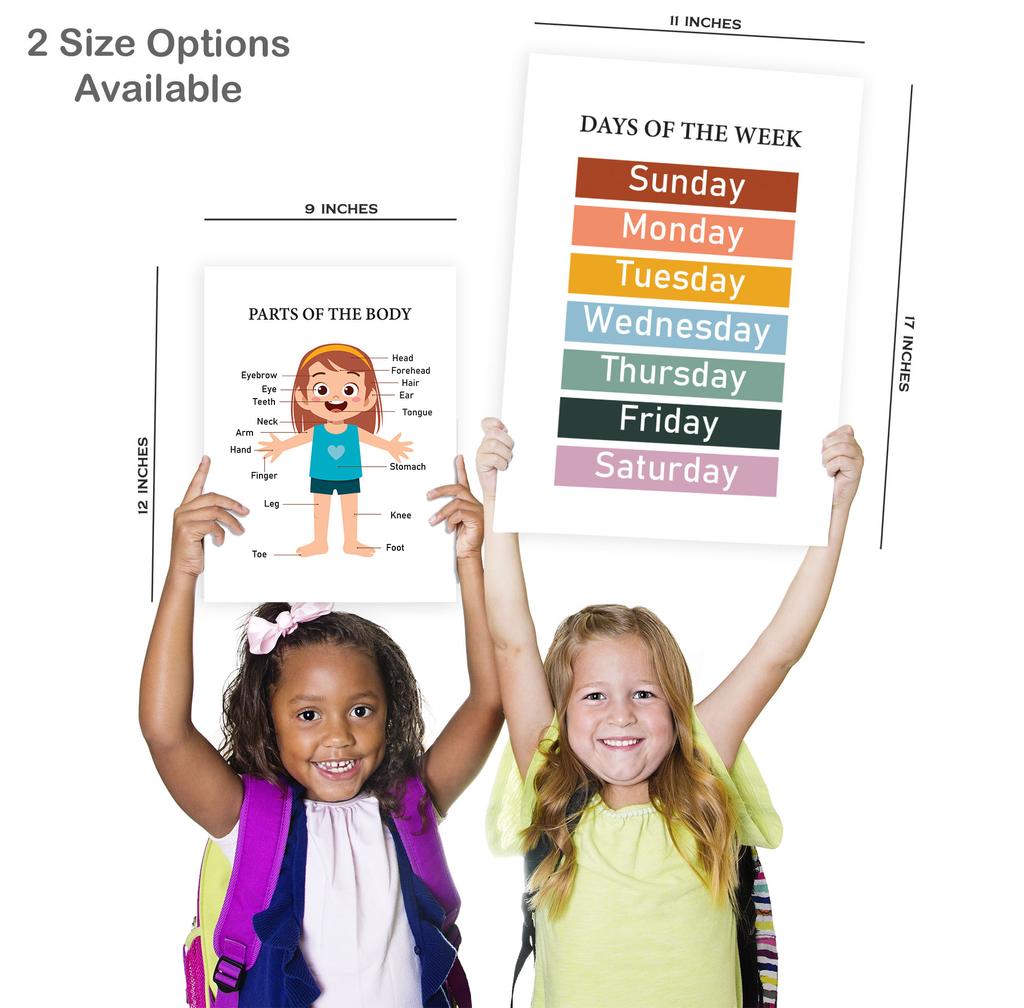 Traceease 10 Educational Posters for Classroom Decor & Kindergarten Homeschool Supplies Baby, Laminated Preschool Learning Chart Materials