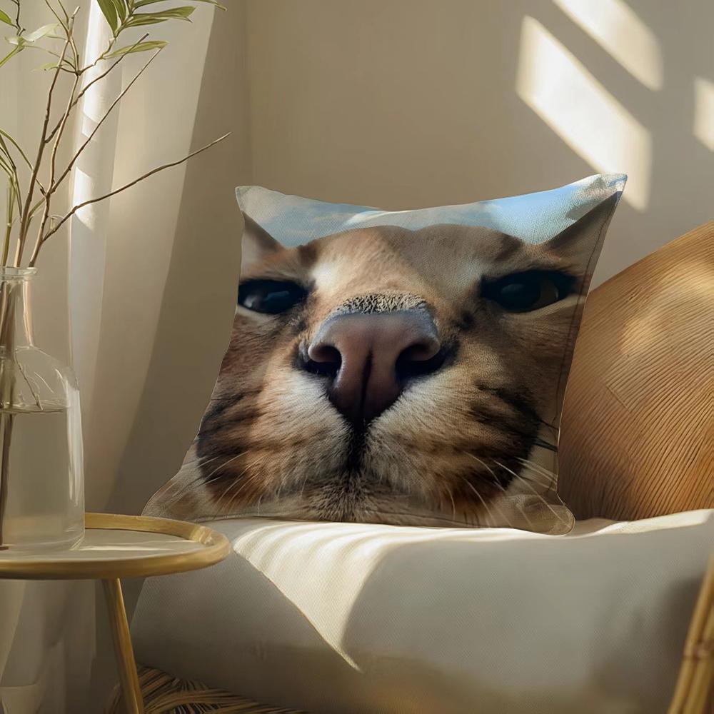 Наволочка для подушки с мемом Floppacat, Двусторонняя печать, Подушка для дивана, Изголовье кровати