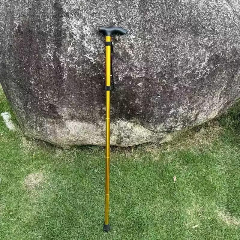 Brangdy Adjustable Trekking Pole