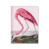 Розовый слон жираф фламинго попугай постер животное настенное искусство холст картина скандинавский современный для гостиной домашний декор безрамный
