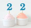 Darling Souvenir Number 2 Birthday Cupcake Toppers Birthday Anniversary Party Dessert Decorations - Pack Of