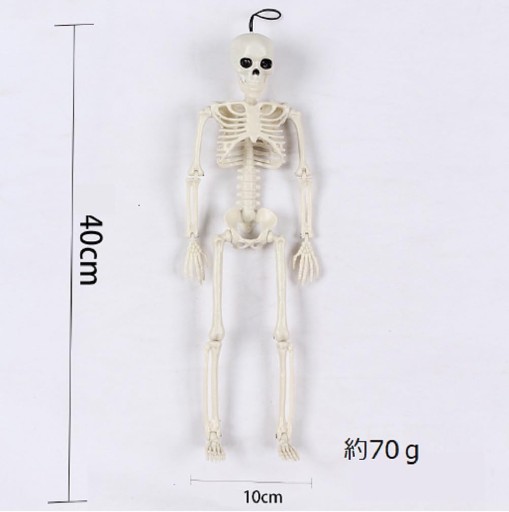 Skeleton Figure Object Drawing 40cm Model Interior Halloween