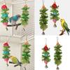 Parrots Foraging Macerators Cockatiel Entertainment Toy Hanging Parakeets Toy for Parakeets Conures