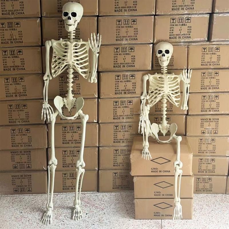 Realistic Full Body Human Bone Halloweens Props Flexible Joints Portable Plastic Indoor Outdoors Decoration