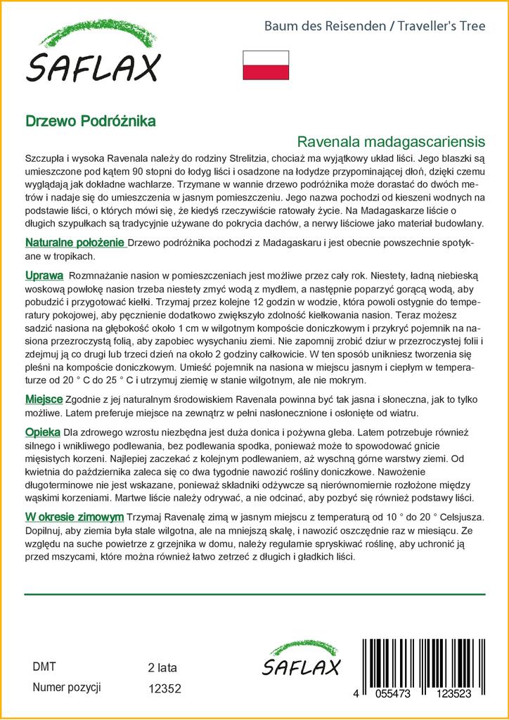 SAFLAX Дерево путешественника - 8 семян - Ravenala madagascariensis