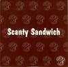 CD SCANTY SANDWICH - Because of You ECB18CDS Southern Fried  2000 UK Танцевальная и Электронная Б/У